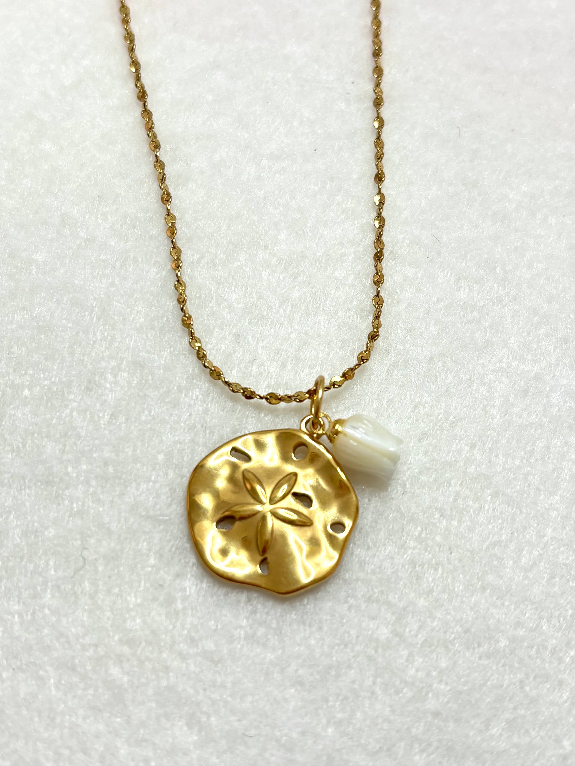 Coleccion Oceano - Sand Dollar
