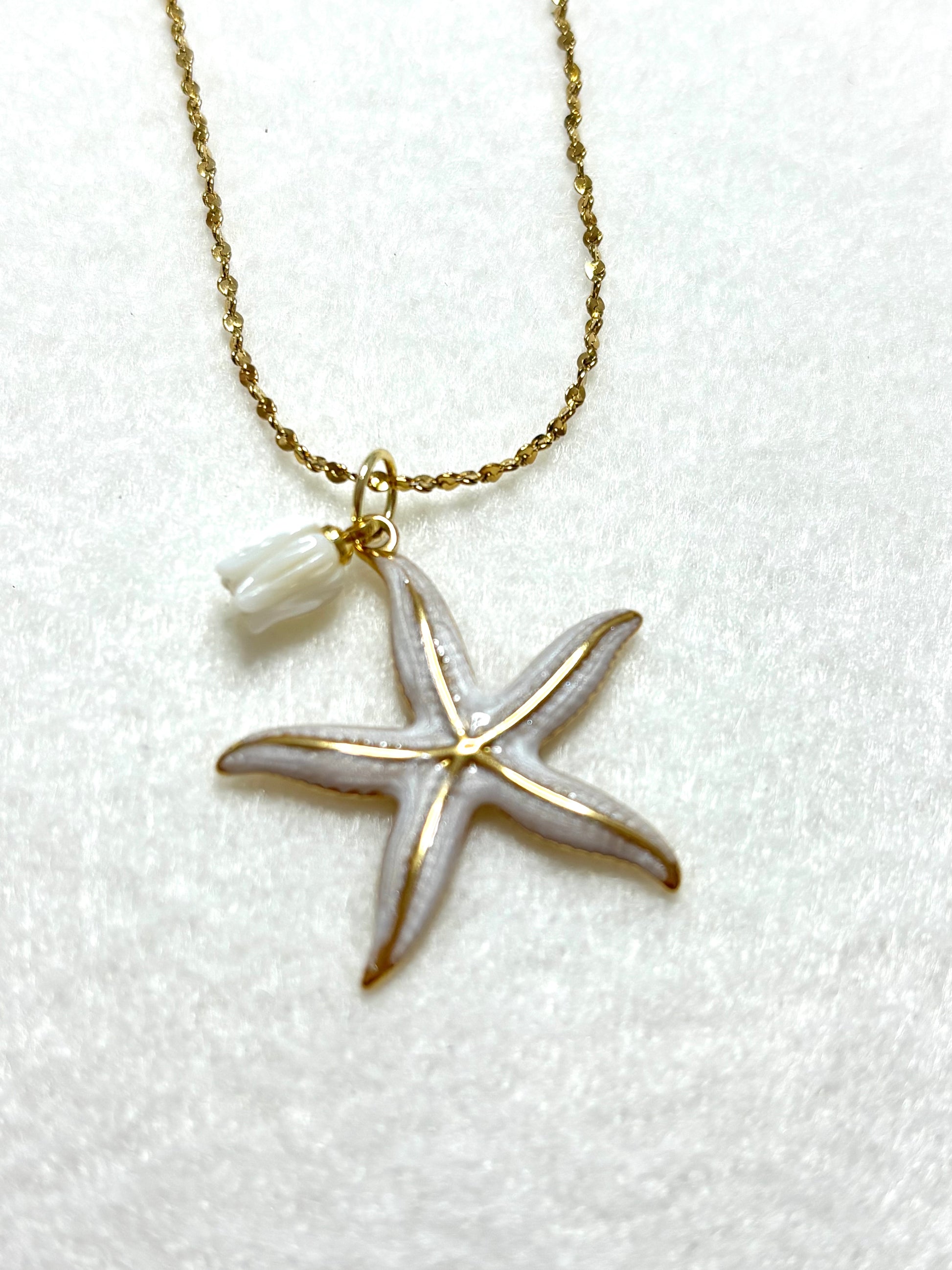 Coleccion Oceano- Estrellita